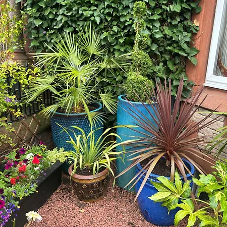 Brooklands 5 Star Vendégház Penrith