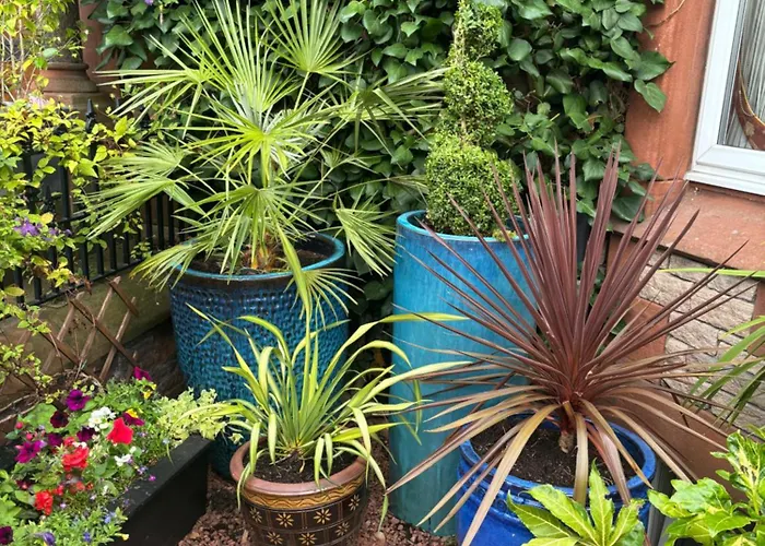 Brooklands 5 Star Pensión Penrith